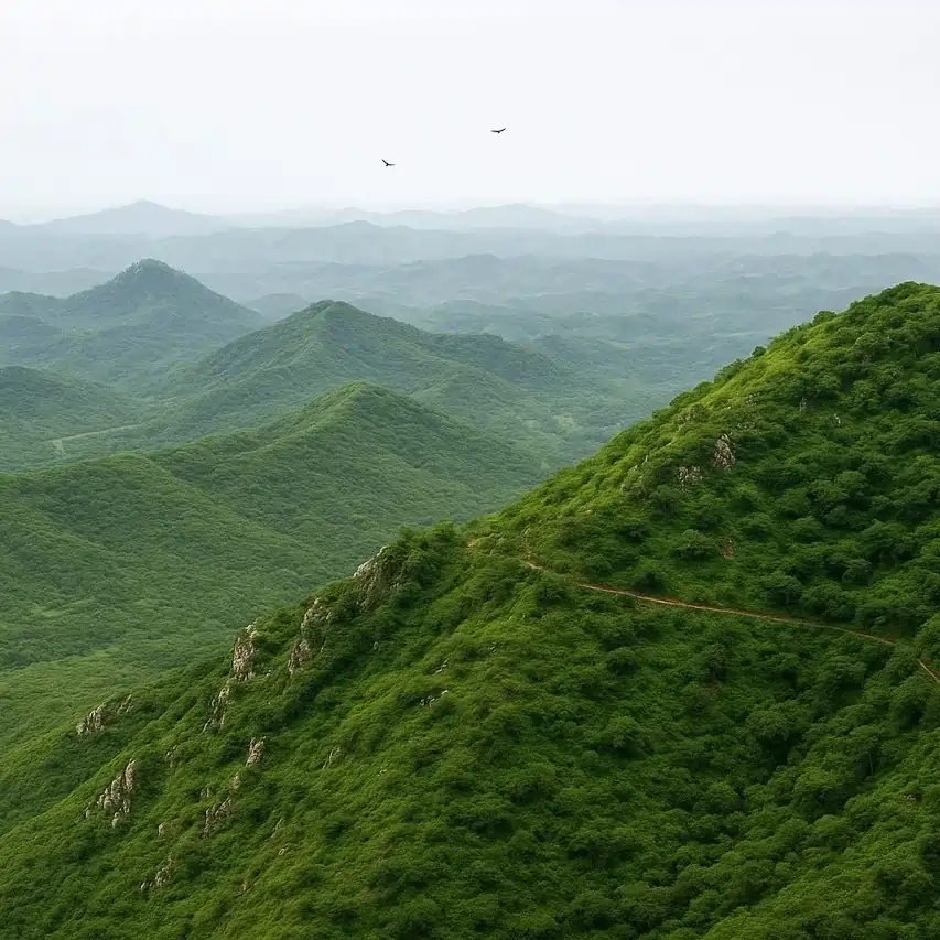 Scenic Aravalli Hills in Naugaon Rajasthan