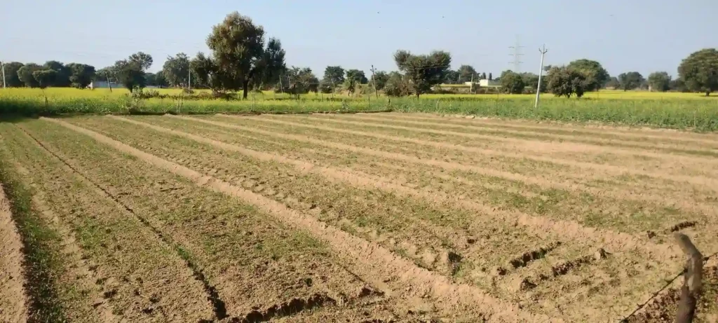 naugaon farmland investment guide