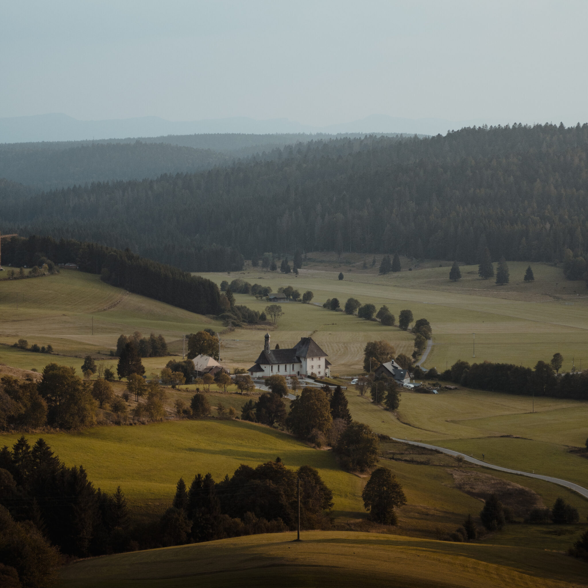 A beautiful view in the forest with a small, rural house surrounded by fir trees
