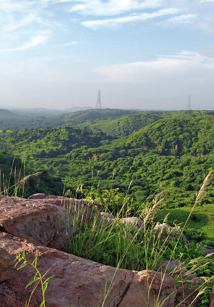 Nature Living at Kushal Elysian Farms Nature-rich farmhouse development at Kushal Elysian Farms with stunning views