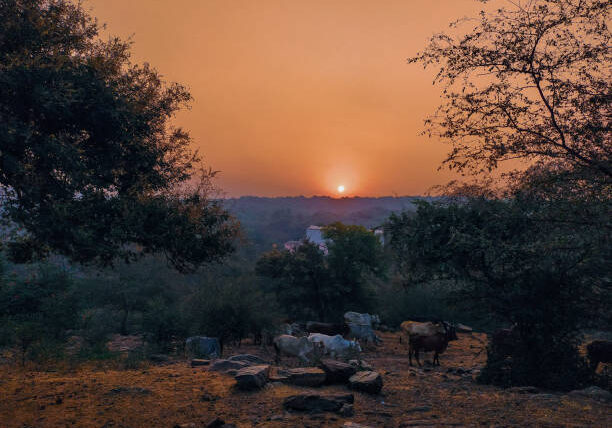 A beautiful sun is emerging from the Aravali mountains A beautiful sun is emerging from the Aravali mountains
