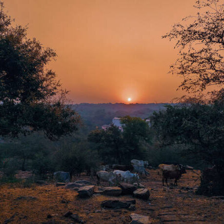 A beautiful sun is emerging from the Aravali mountains A beautiful sun is emerging from the Aravali mountains