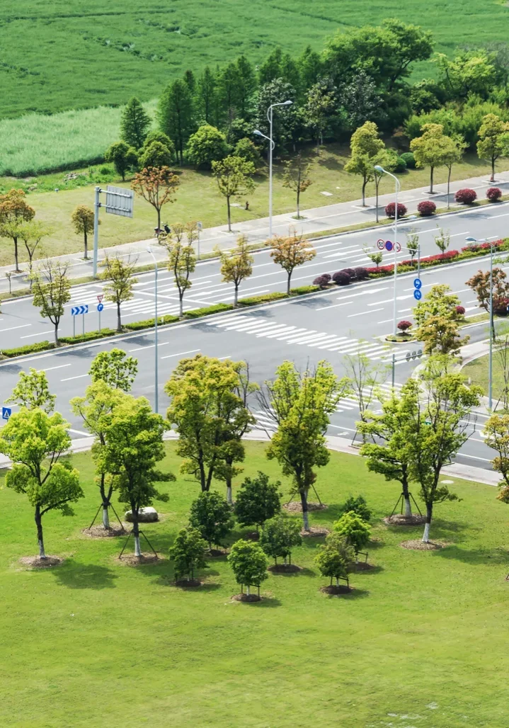 platial-farms-road-with-trees-around-scaled