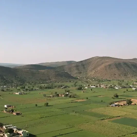 why invest in jasmine farms